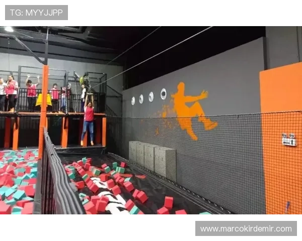 乐动体育最新版app免费下载,全面覆盖足球篮球等多项体育项目内容